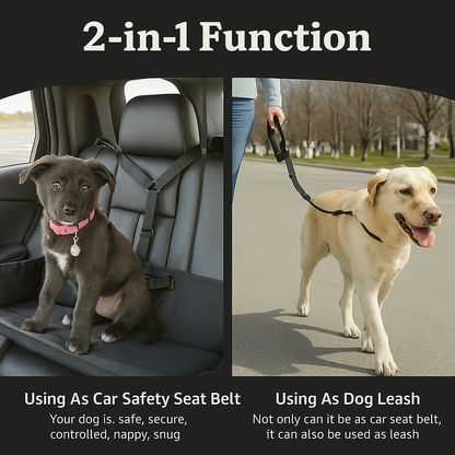 Standard Dog Seat Belt