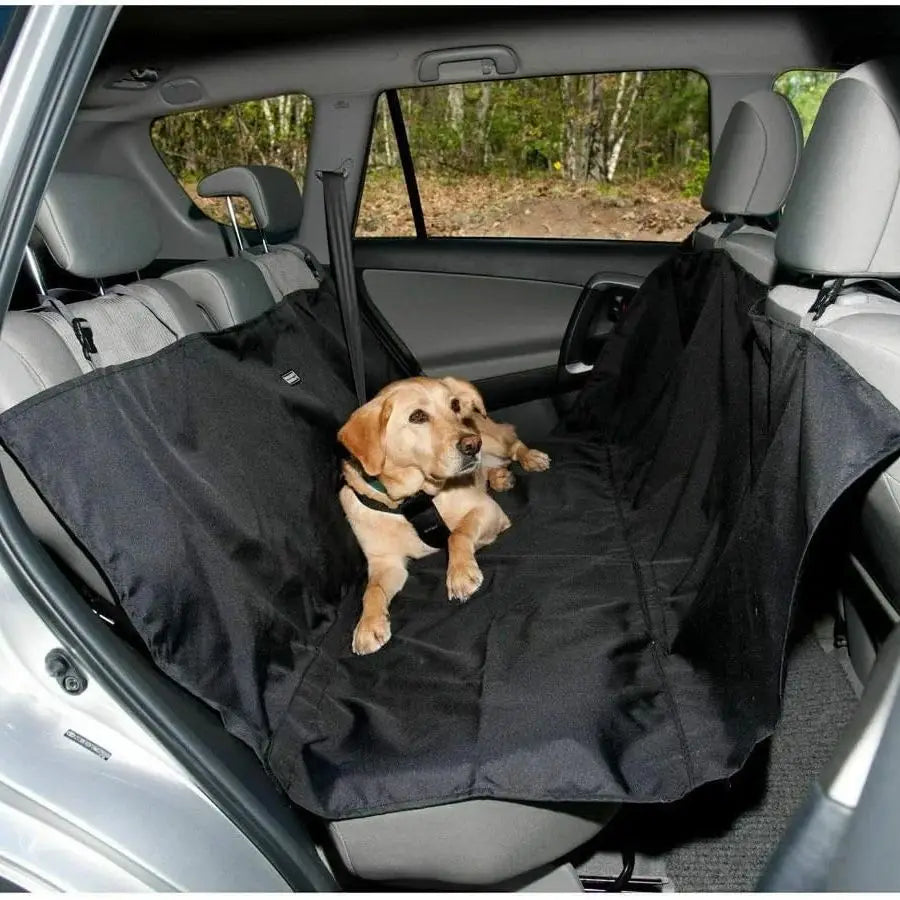 Basic Dog Backseat Extender