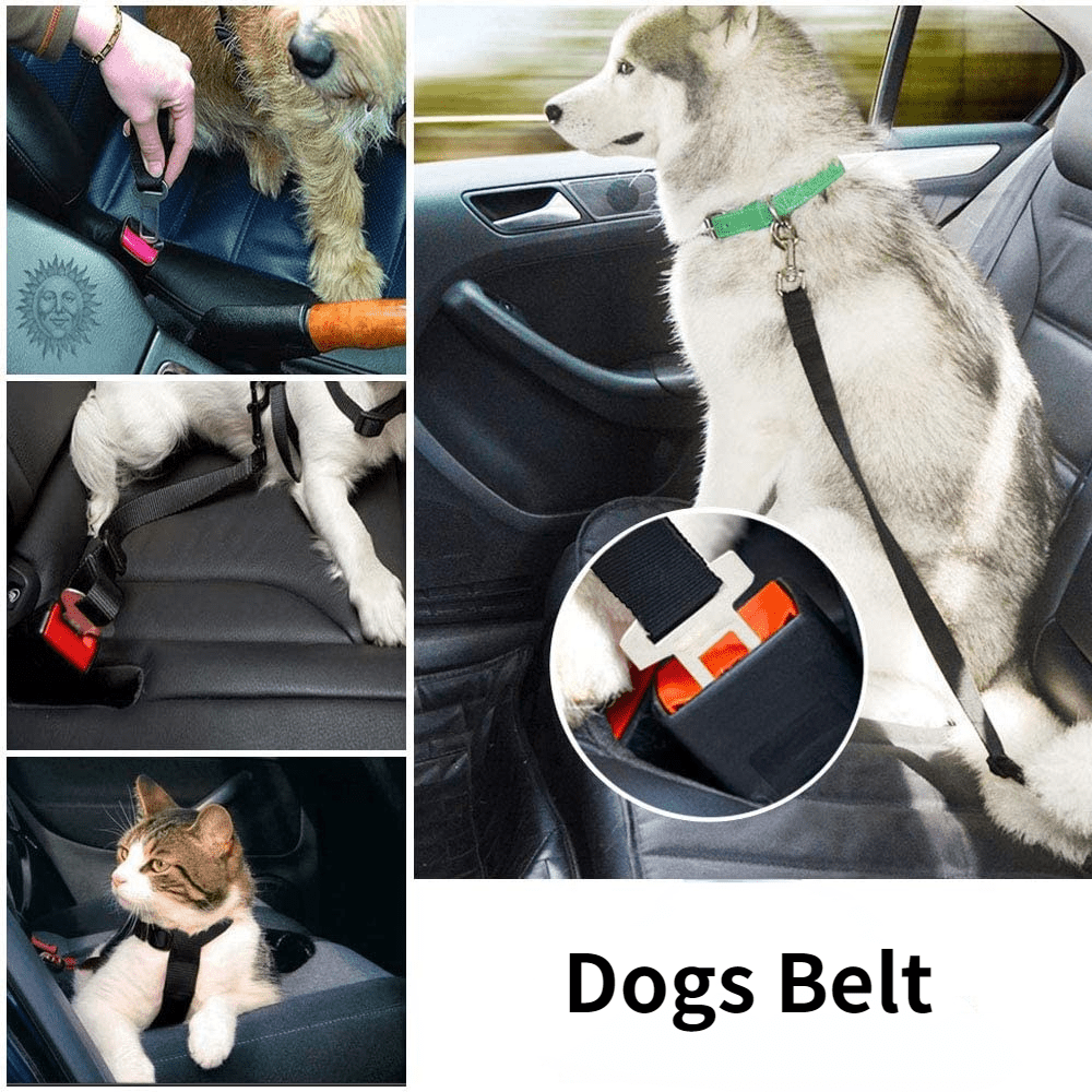 Simple Dog Seat Belt